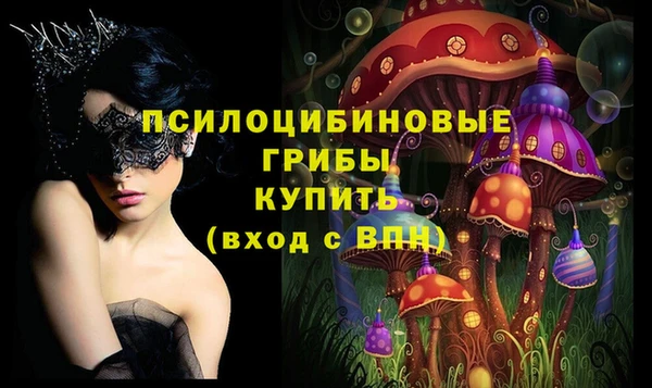 гидра Алзамай