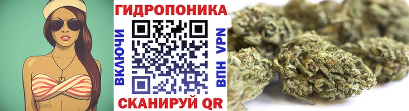 магазин продажи наркотиков  Малоархангельск  Марихуана OG Kush 